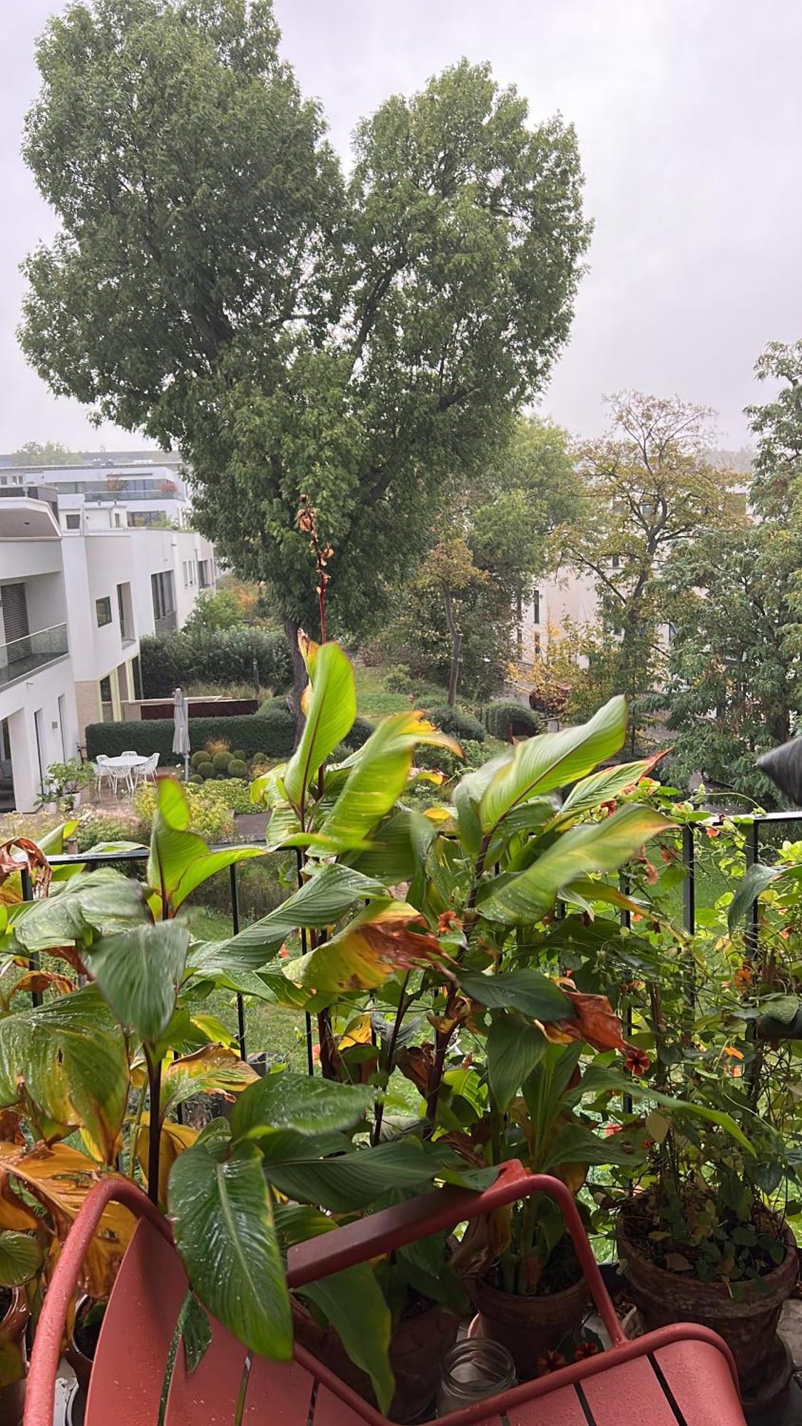 Barbarossa Suite Erfurt Exteriér fotografie